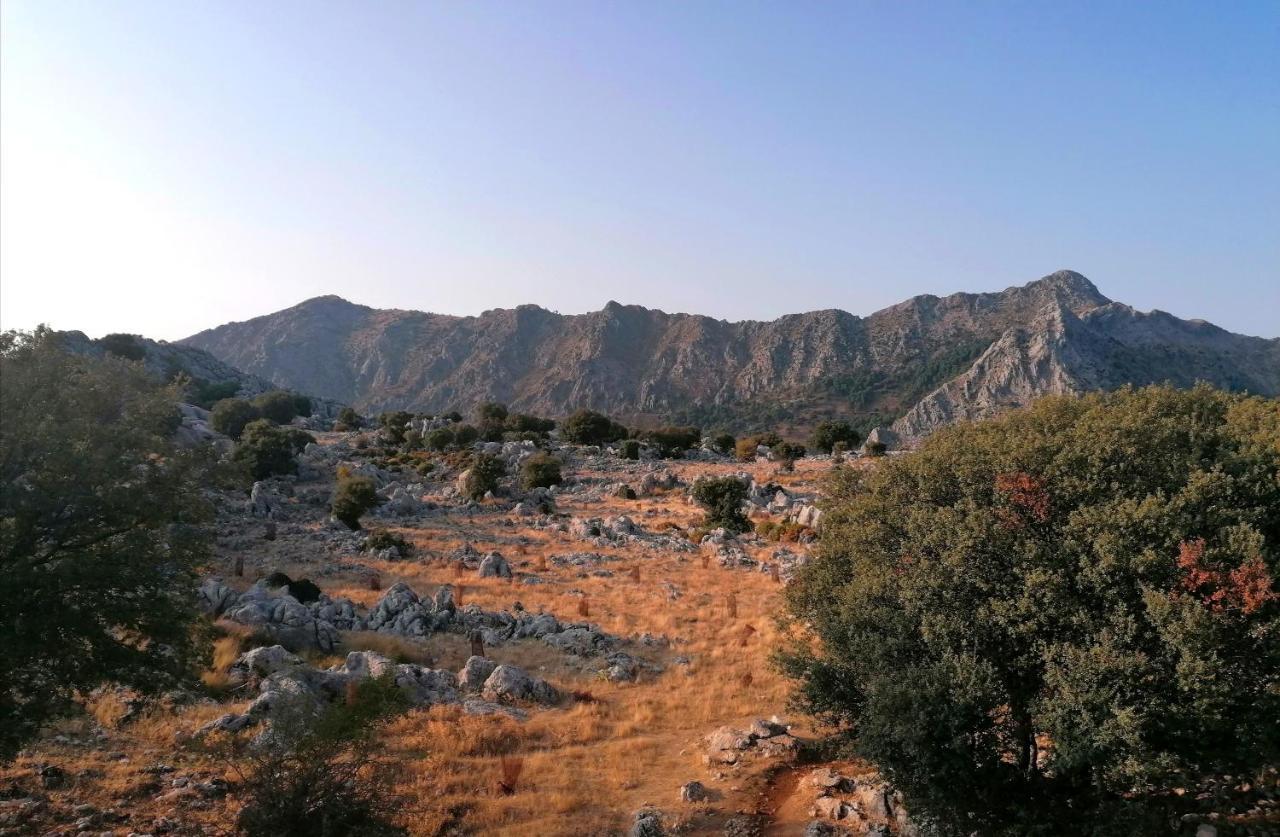 Casas Las Piedras De Agua グラサレマ エクステリア 写真